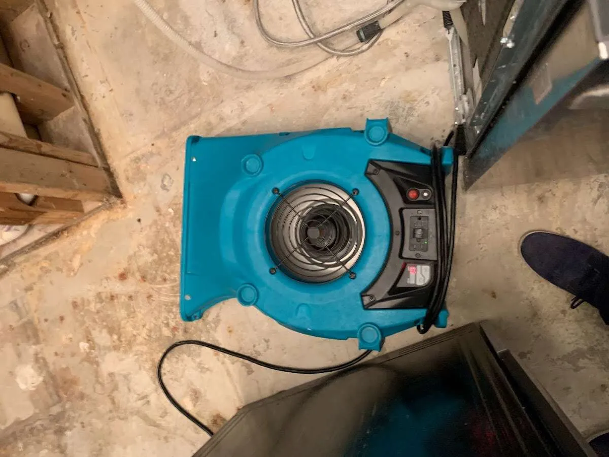 Air mover drying equipment for Mold Remediation & Removal in Odenville