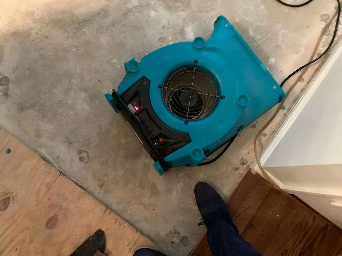 Air mover drying subfloor during Leak Detection & Repair in Odenville